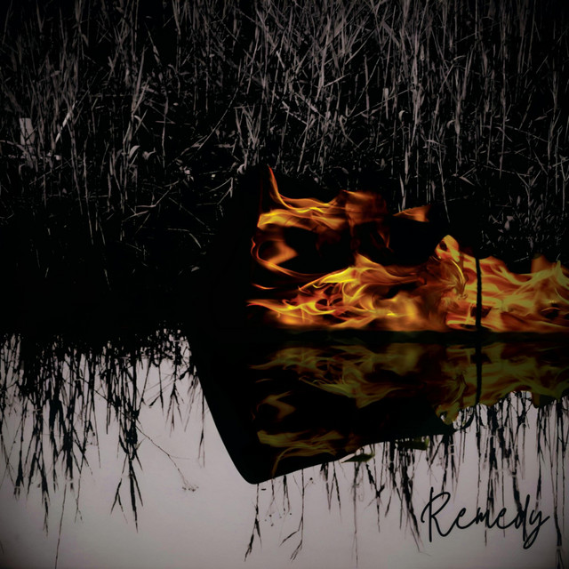 Remedy cover