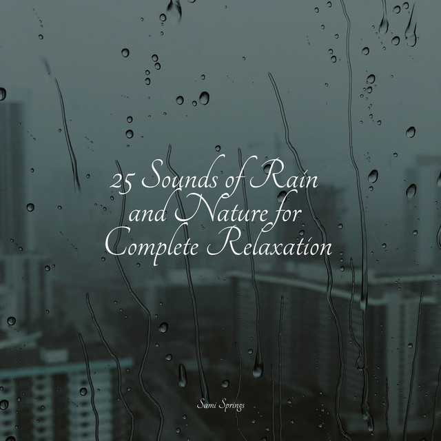 25 Sounds of Rain and Nature for Complete Relaxation - Album by Exam ...