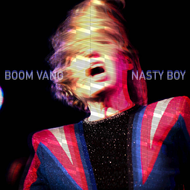 Nasty Boy cover