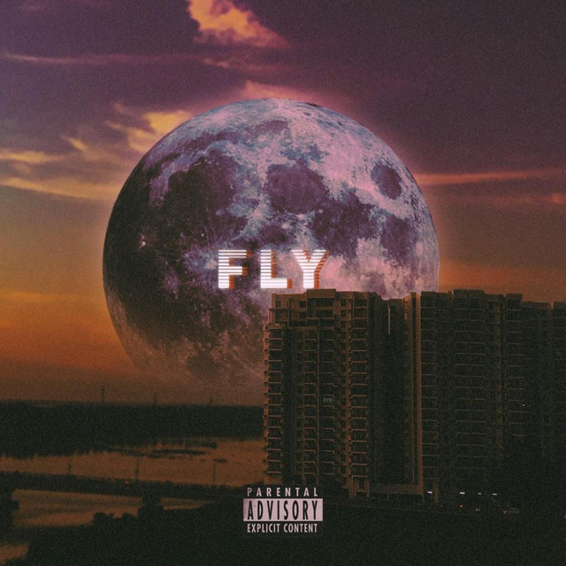 Fly cover art