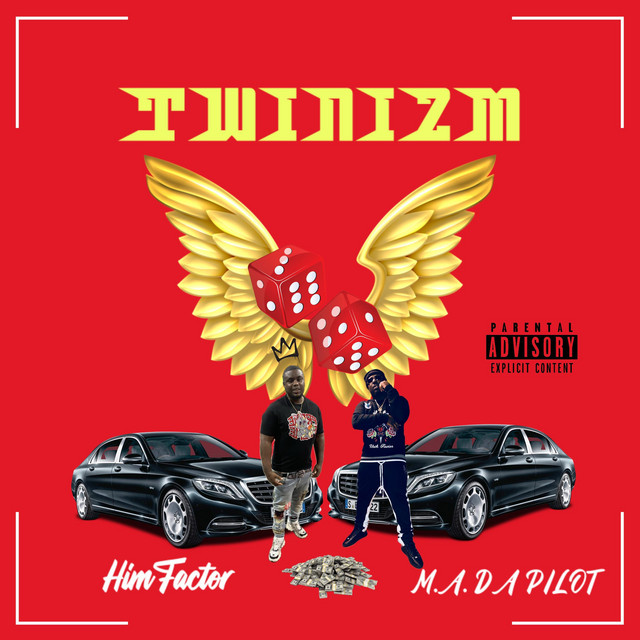 TWINIZM cover art