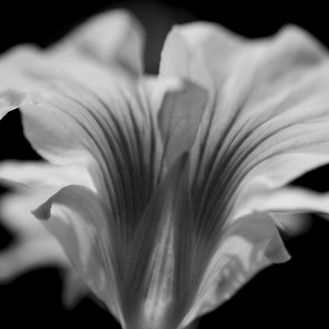Pochette du titre Floating