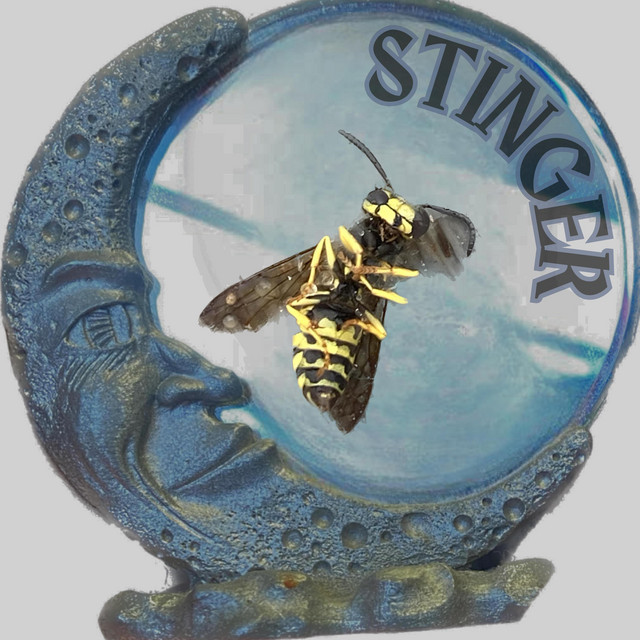 Stinger cover art