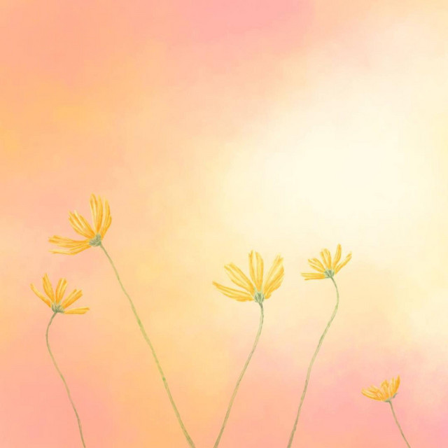 Bloom cover art
