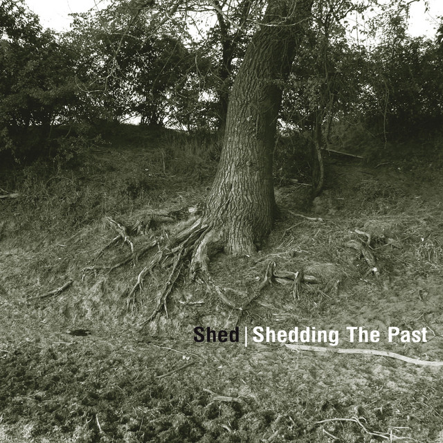 Shedding The Past cover art
