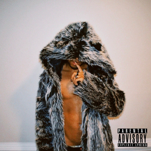 Shine cover art