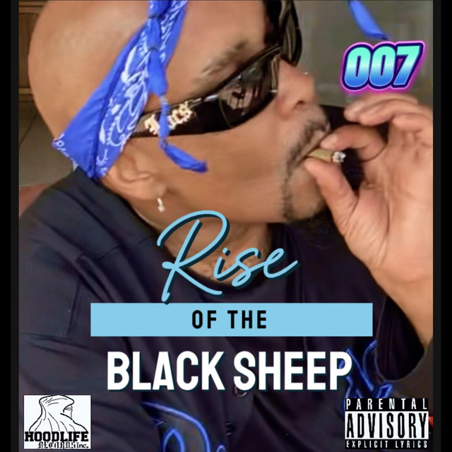 Rise of the Black Sheep cover art