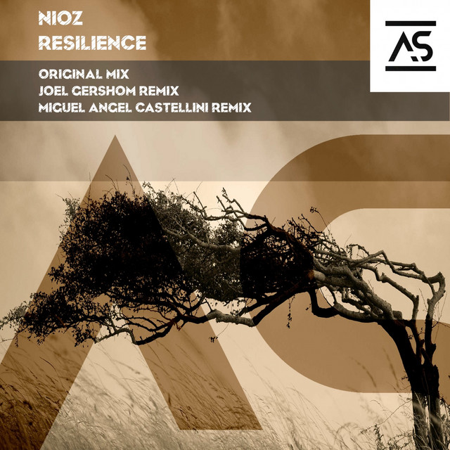Resilience - Miguel Angel Castellini Remix cover art