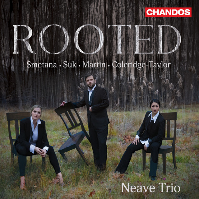Rooted cover art
