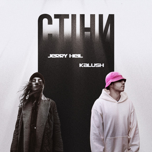 Стіни cover art