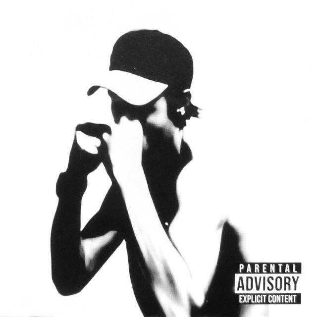 Heron Vs Heron cover art