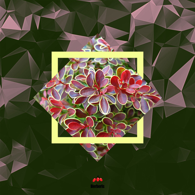 Mi Boat EP cover art