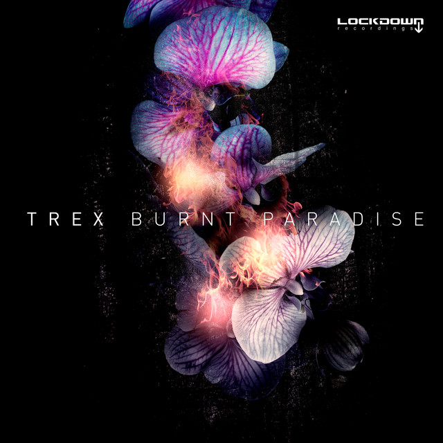 Burnt Paradise artwork
