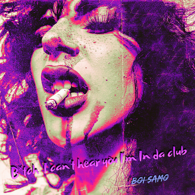 B*tch I Can't Hear you I'm In Da Club cover art