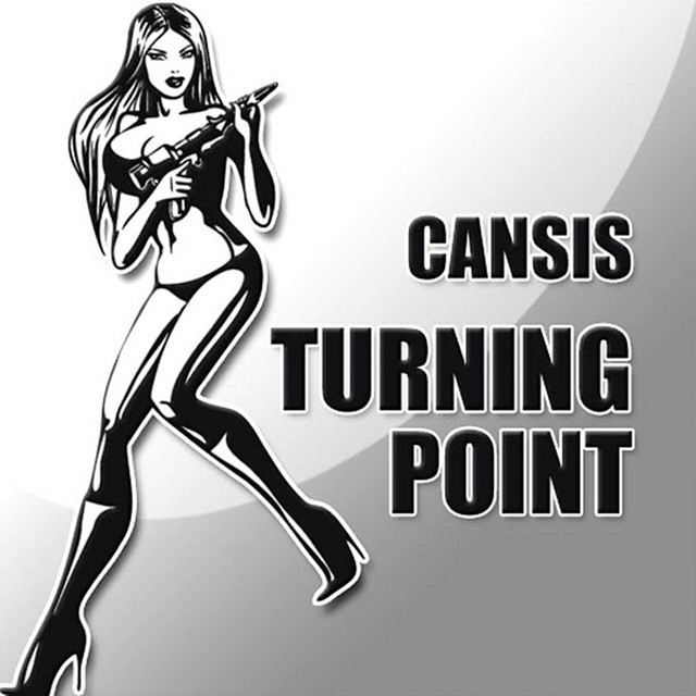 Turning Point cover art