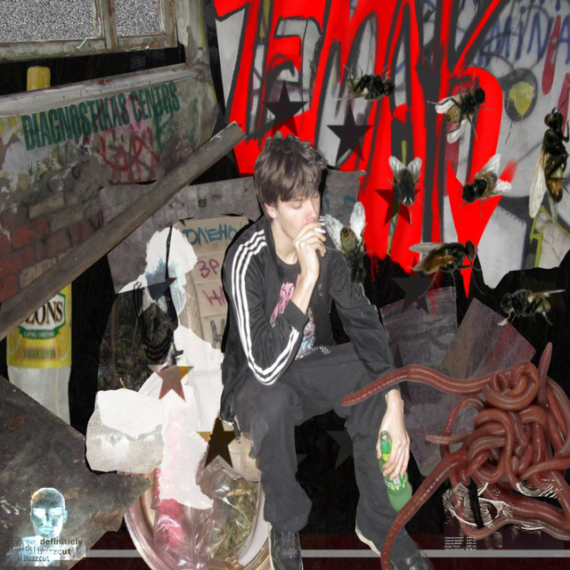 ZEMAAK PAR ZEMU cover art