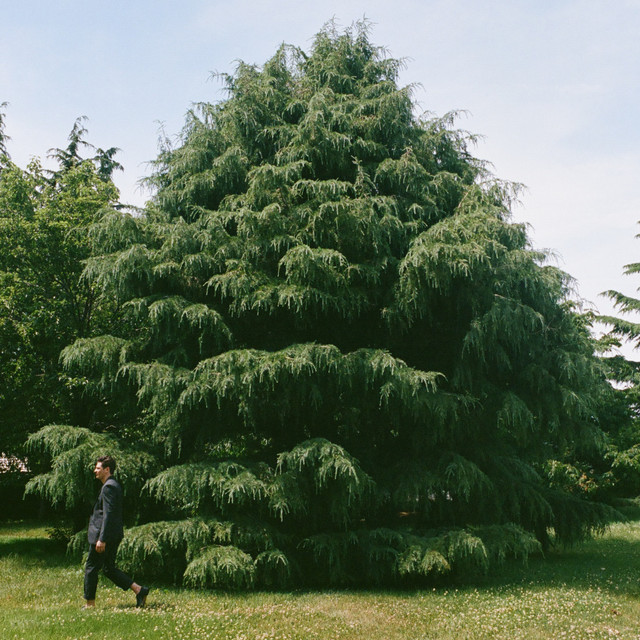 Evergreen (Deluxe) cover art