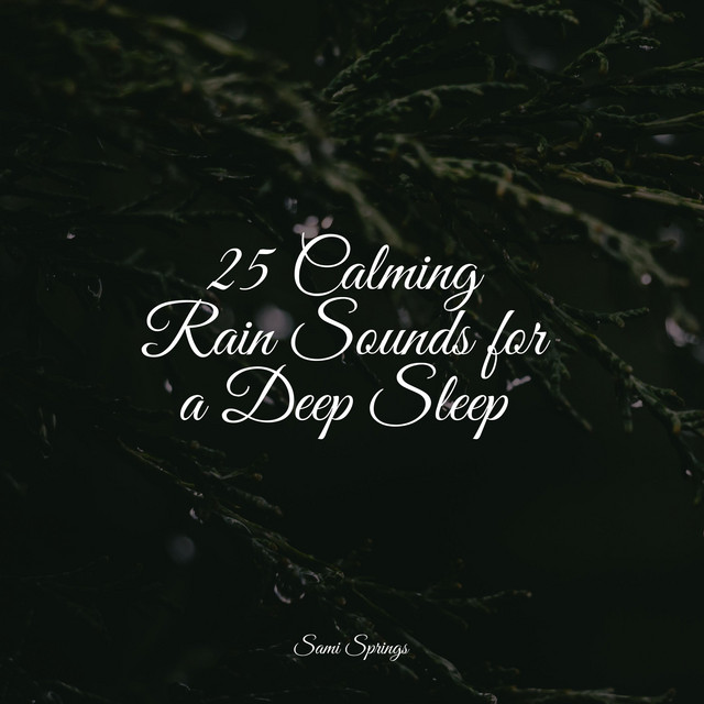 25 Calming Rain Sounds for a Deep Sleep - Album by White Noise For Baby ...