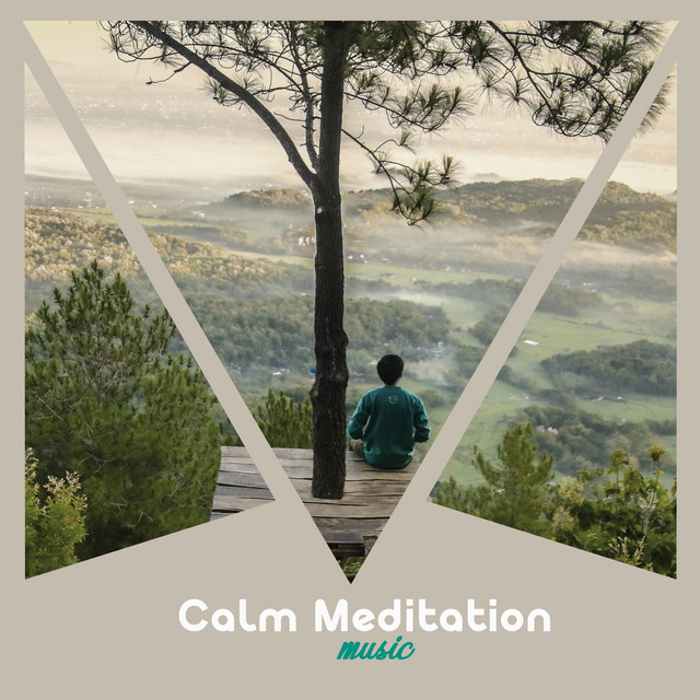 Calm Moving Stillness cover art