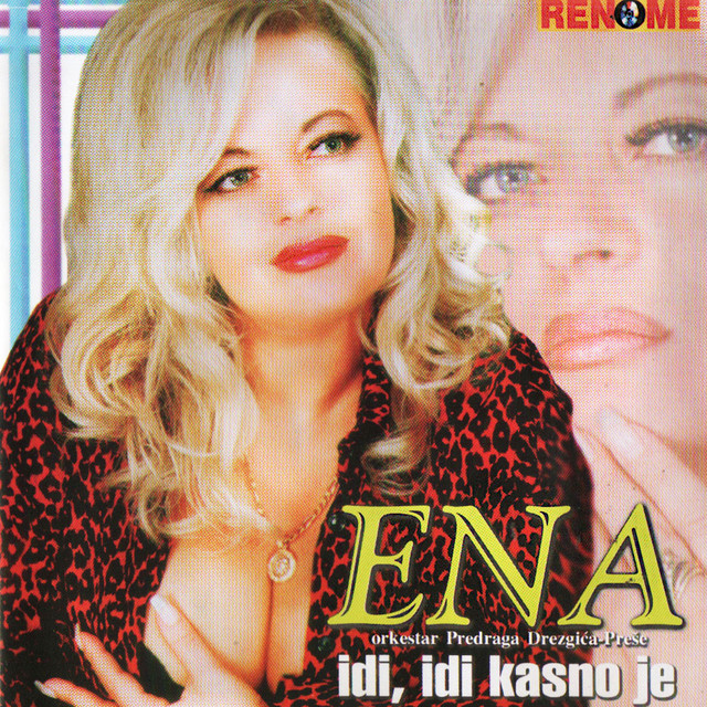 Idi, idi kasno je cover art