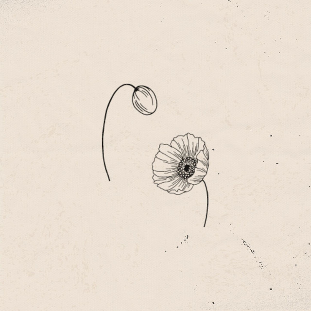 pen pal cover art