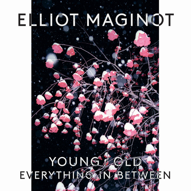 Young/Old/Everything.In.Between cover art