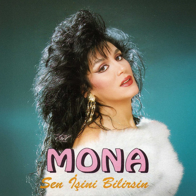 Şaşkın cover art