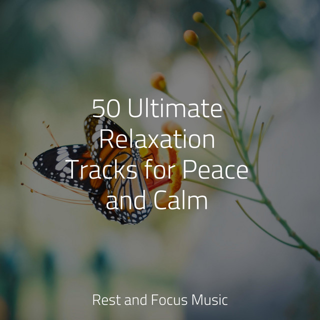 50 Ultimate Relaxation Tracks for Peace and Calm - Album by Deep Sleep ...