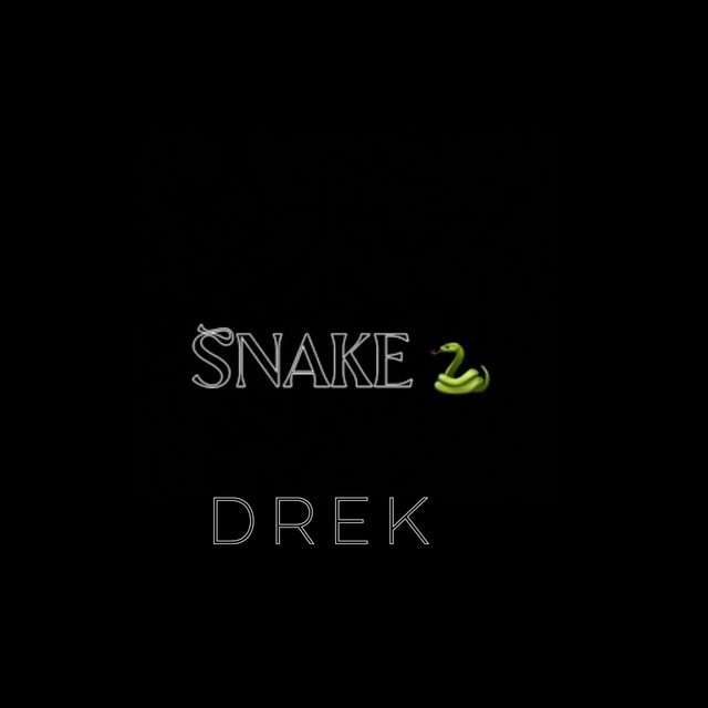 Snake cover art
