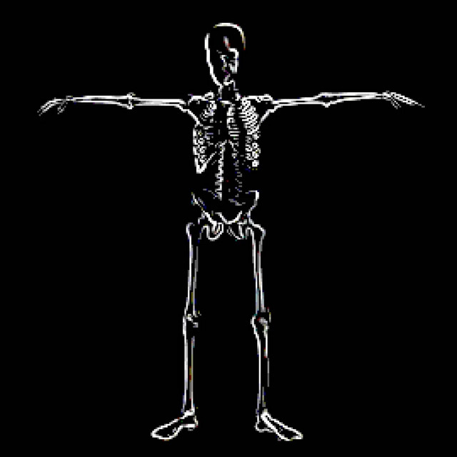 SKELETON DANCE