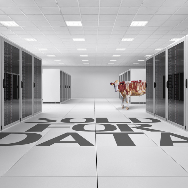 Sold for Data cover art