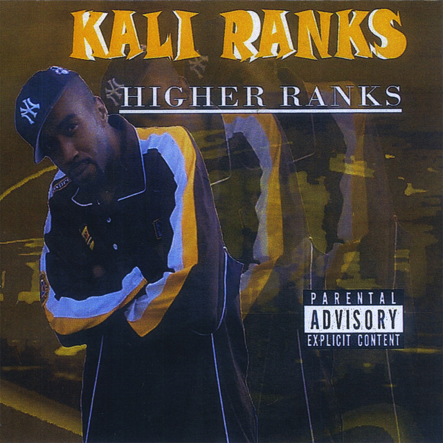 Higher Ranks cover art
