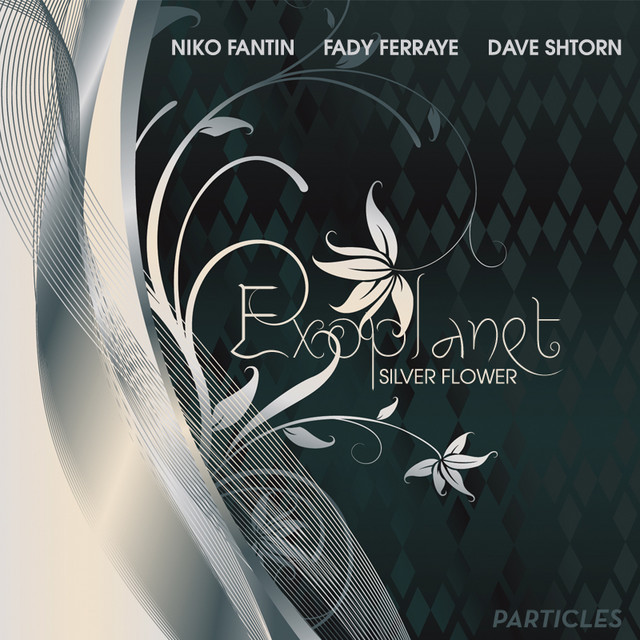 Distant Embrace - Fady Farraye 'Embracing The Distance' Mix cover art