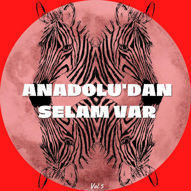 Anadolu'dan Selam Var, Vol. 5 cover art