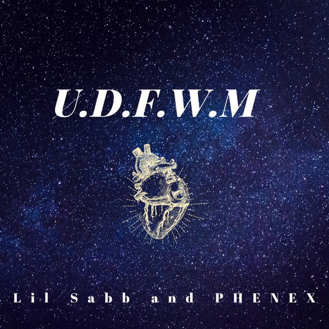 Udfwm cover