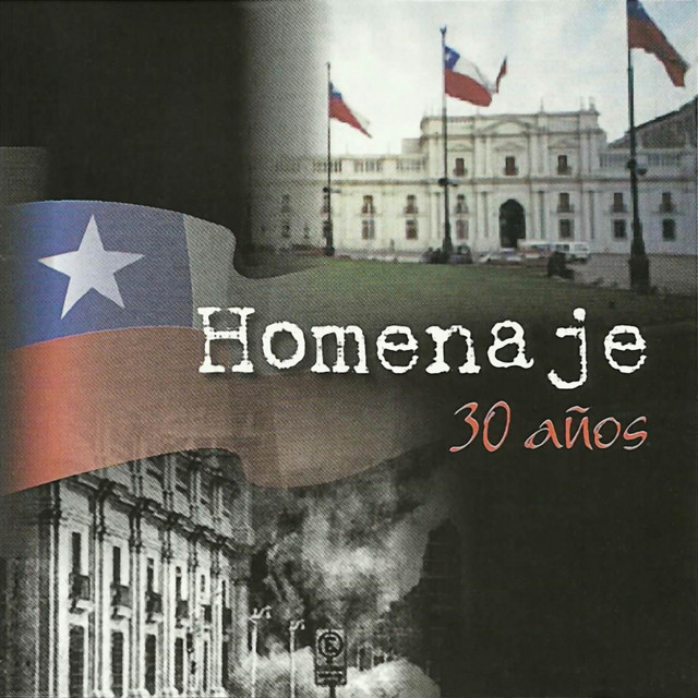 Homenaje 30 Años cover art