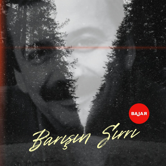 Barışın Sırrı cover