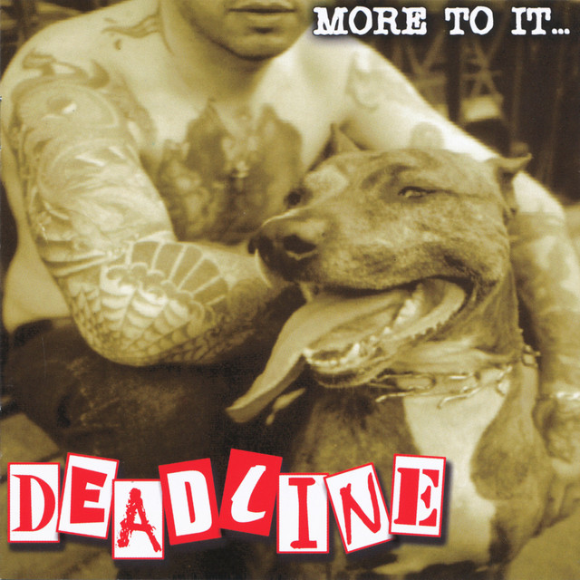 More to It Than Meets the Eye cover art