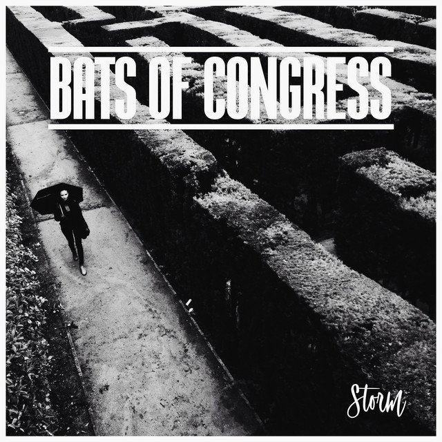 Storm cover art