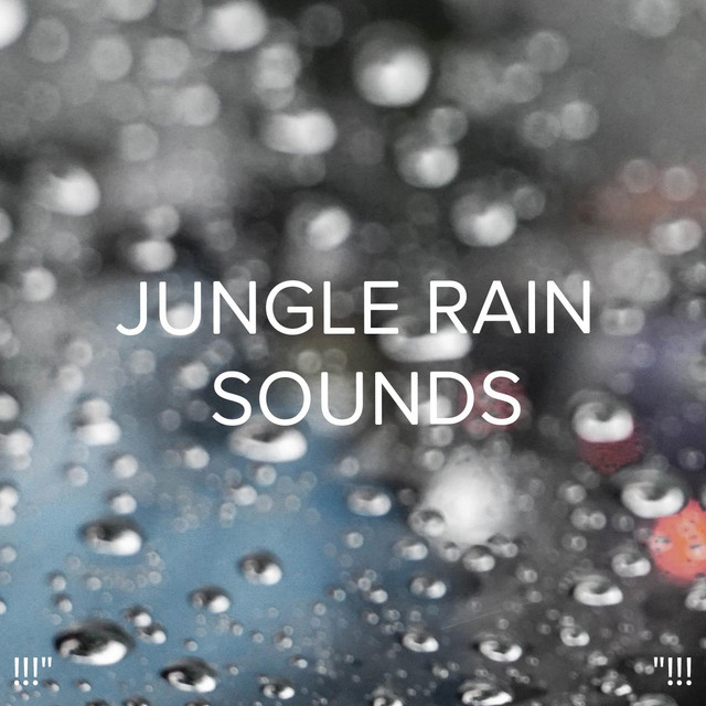 !!!" Jungle Rain Sounds "!!! cover art