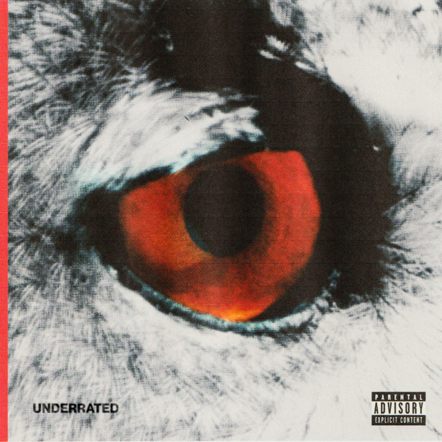 Underrated cover art