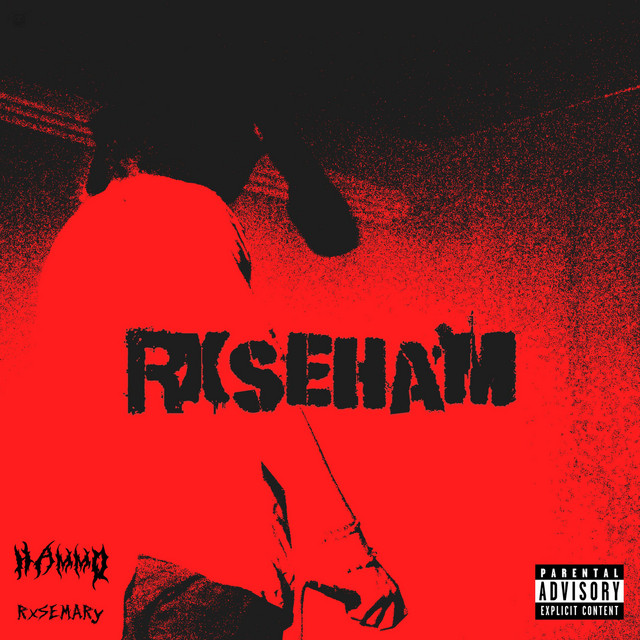 RXSEHAM cover art