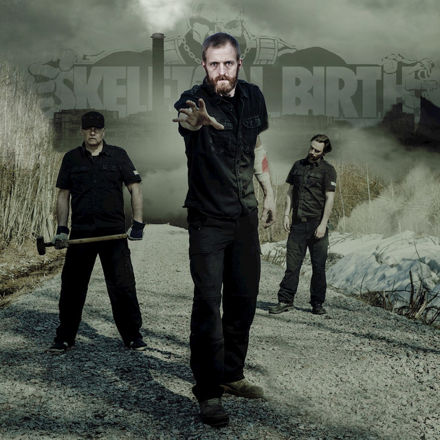 The bridges of Berlin cover