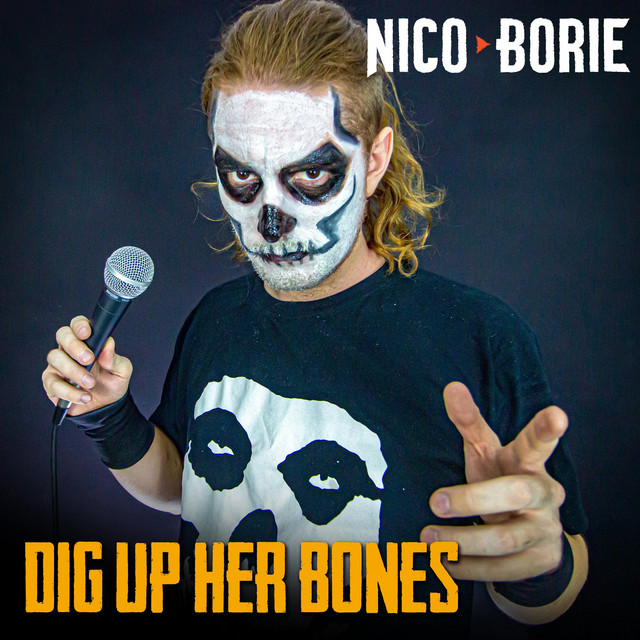 Dig Up Her Bones cover art