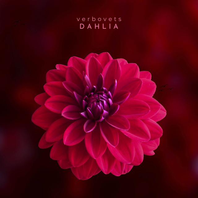 Cover art: Dahlia — Verbovets