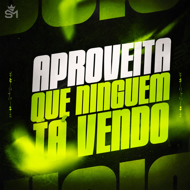 APROVEITA QUE NINGUÉM TÁ VENDO