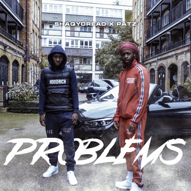 Problems cover art