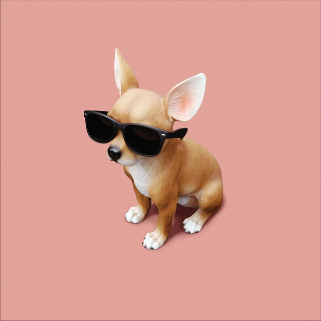 Lo Tom cover art