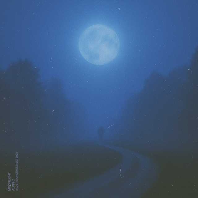 moonlight (slowed + reverb)