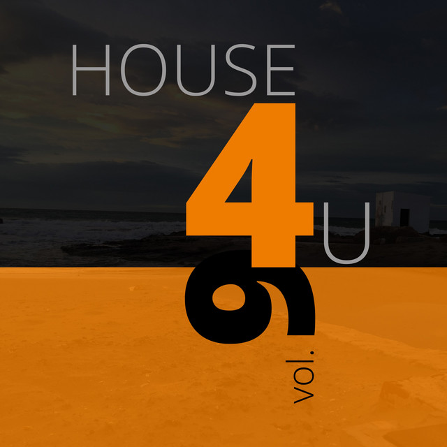 House 4 U, Vol. 9 cover